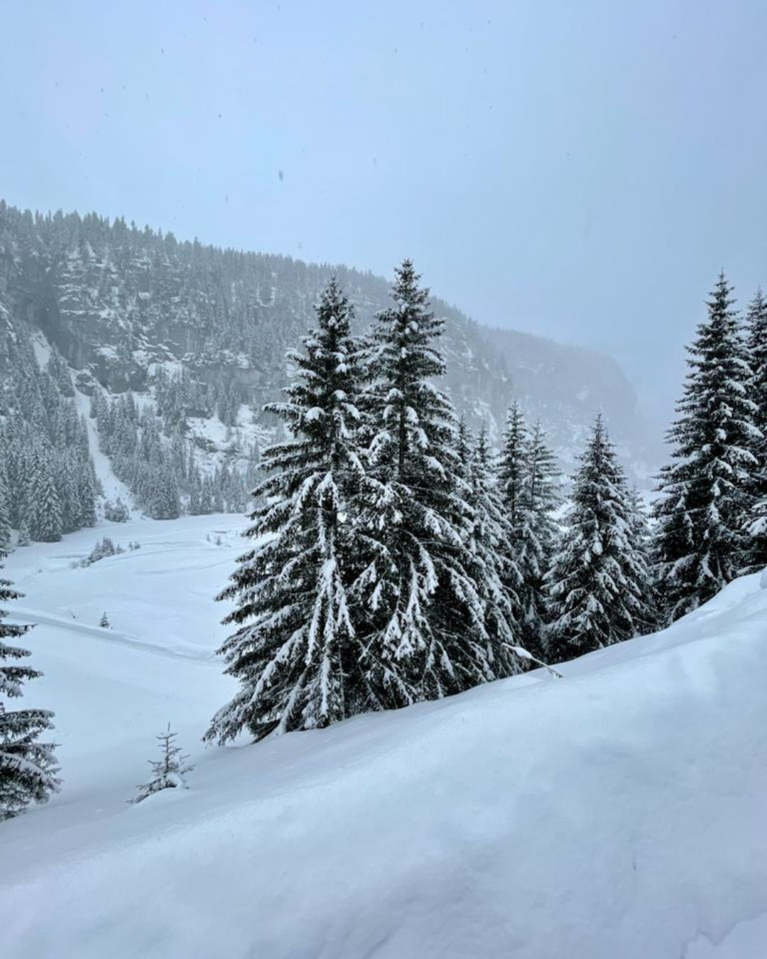 Stage de pilotage sur glace et neige